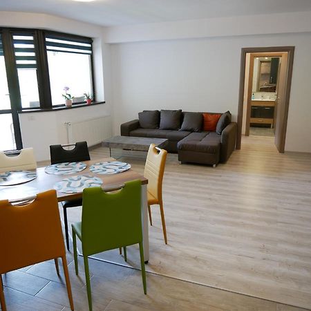 Riky Apart Mountain View Apartment Sinaia Exterior photo