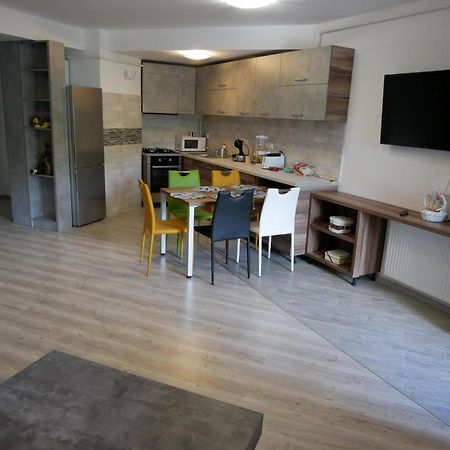 Riky Apart Mountain View Apartment Sinaia Exterior photo