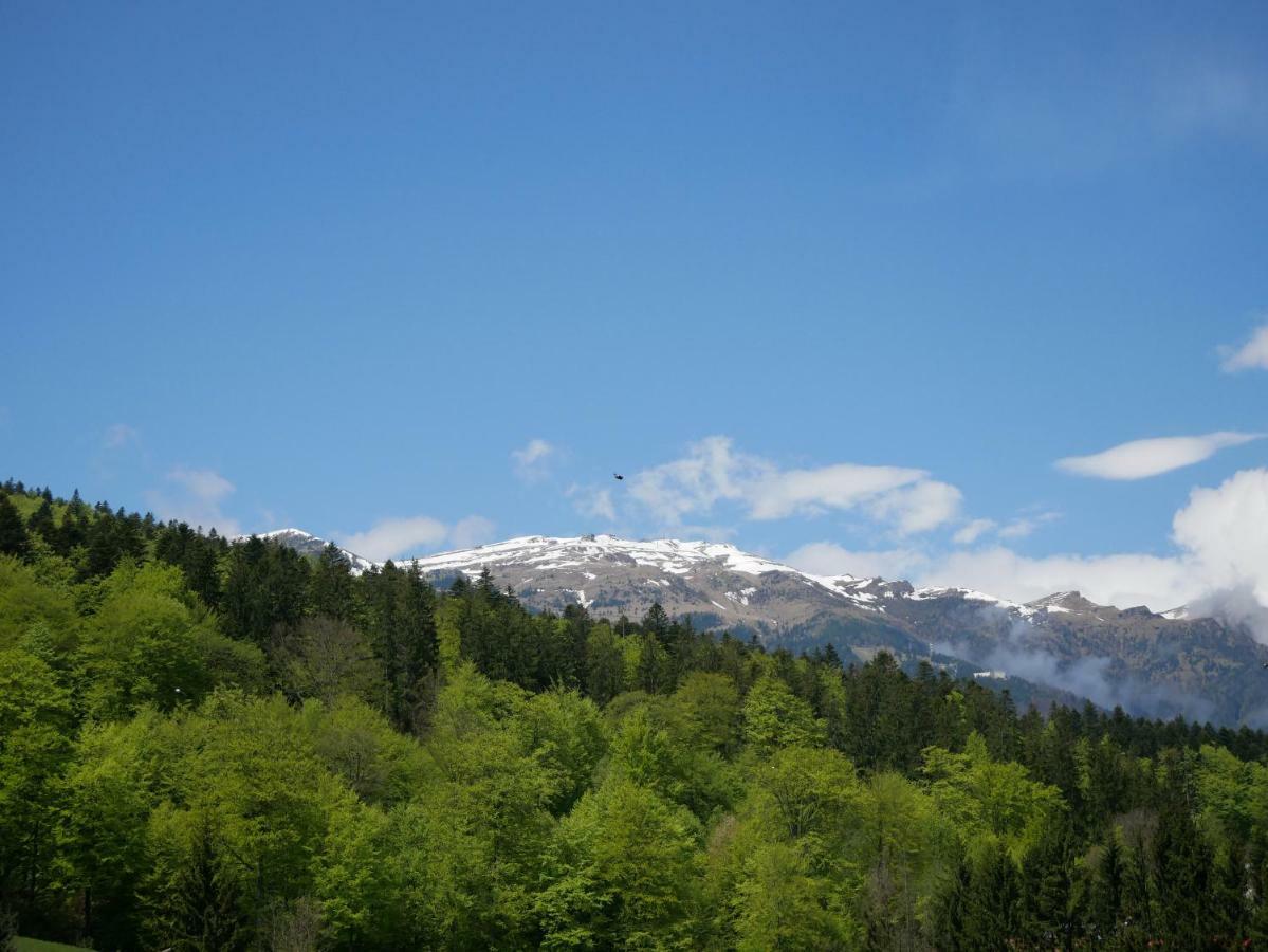 Riky Apart Mountain View Apartment Sinaia Exterior photo