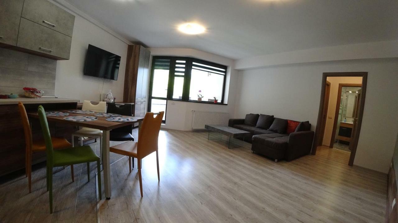 Riky Apart Mountain View Apartment Sinaia Exterior photo