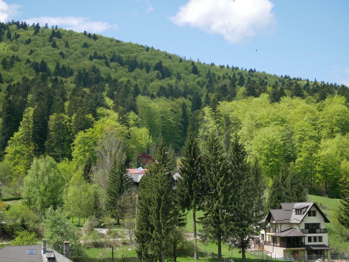 Riky Apart Mountain View Apartment Sinaia Exterior photo
