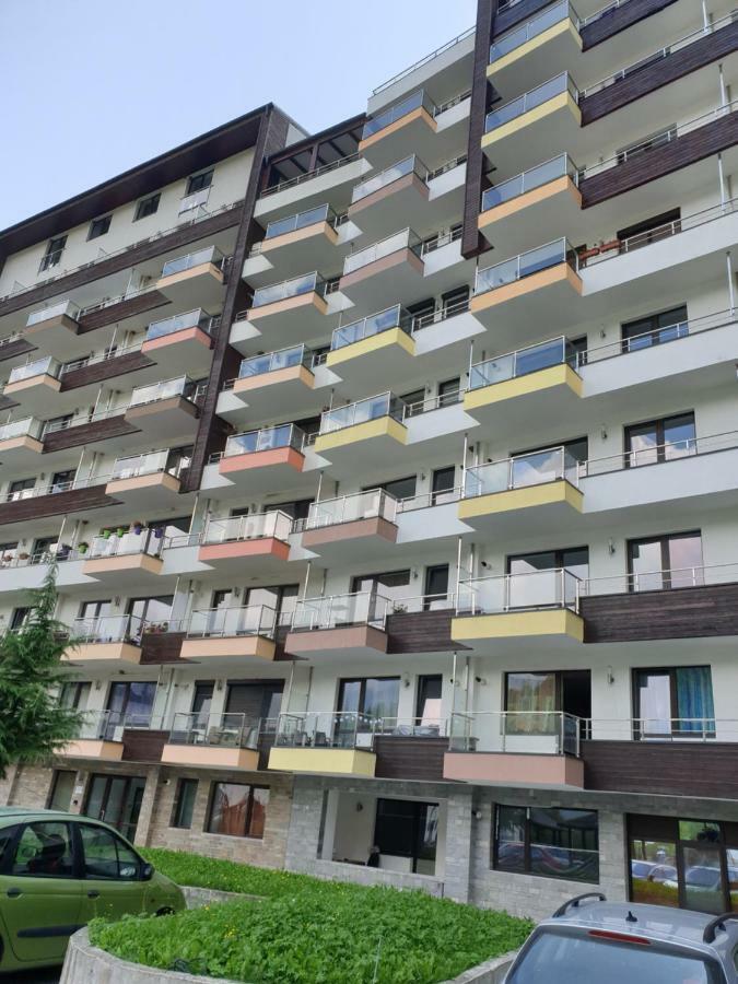 Riky Apart Mountain View Apartment Sinaia Exterior photo