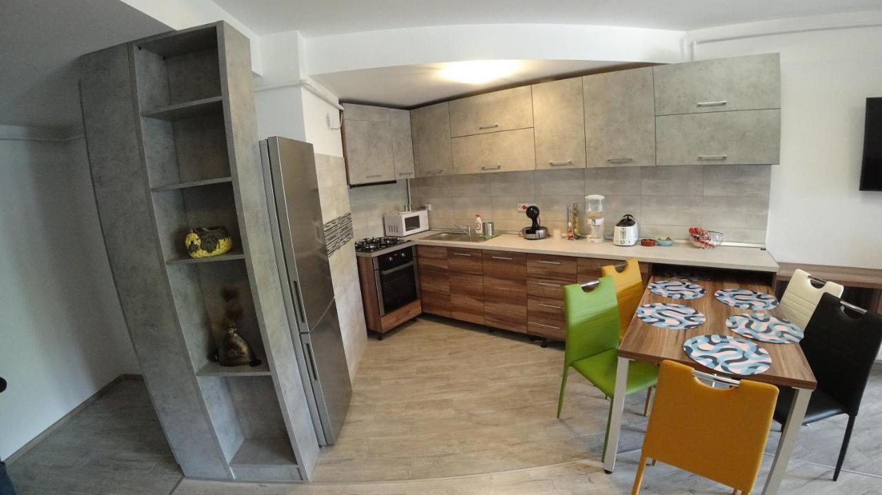 Riky Apart Mountain View Apartment Sinaia Exterior photo