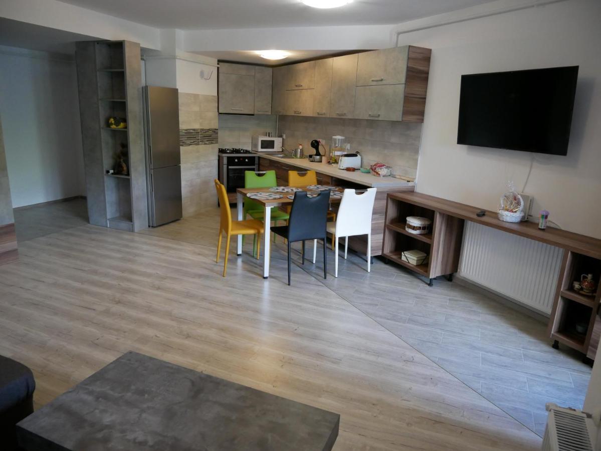 Riky Apart Mountain View Apartment Sinaia Exterior photo