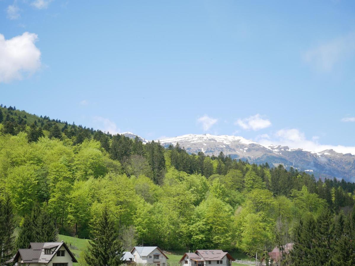 Riky Apart Mountain View Apartment Sinaia Exterior photo