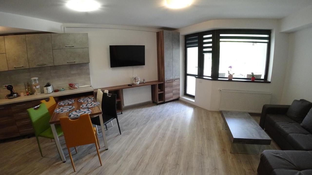 Riky Apart Mountain View Apartment Sinaia Exterior photo