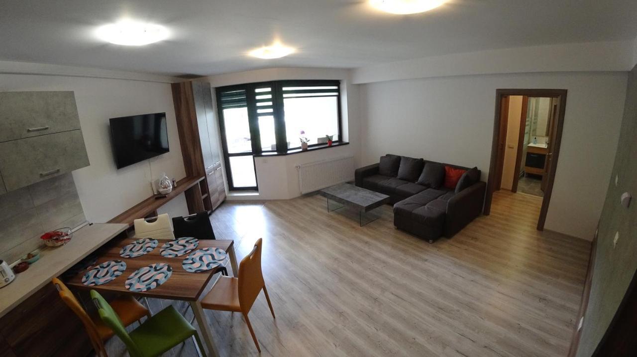 Riky Apart Mountain View Apartment Sinaia Exterior photo
